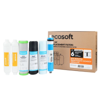 Комплект картриджів Ecosoft Absolute "12 місяців" (CHV6ECOABS)