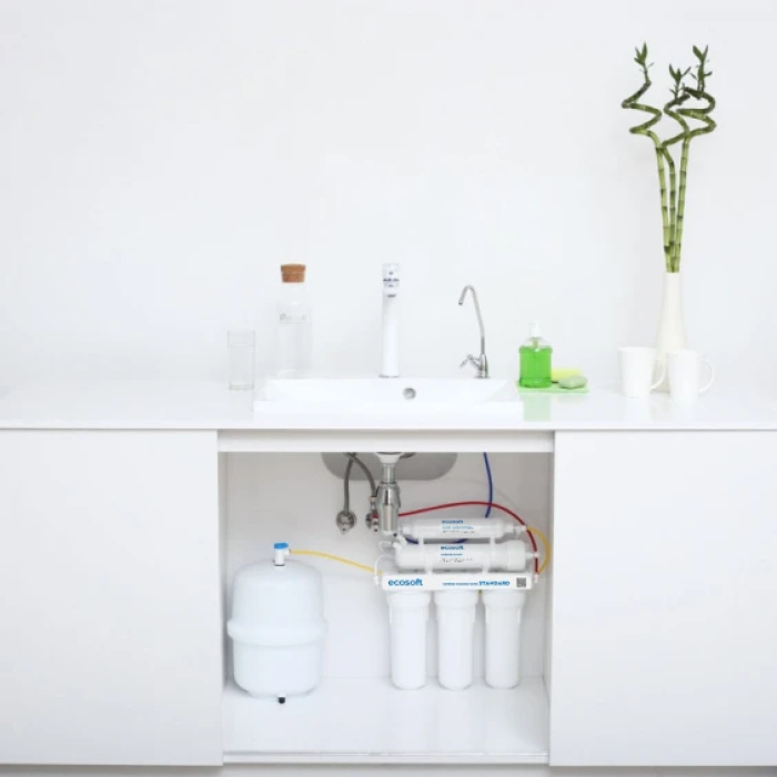 Фільтр зворотного осмосу Ecosoft Standard (MO550ECOSTD)