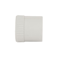 Муфта PPR Blue Ocean 32х3/4" ВР (BOIAXX3202XXX)