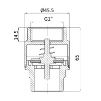 Клапан зворотний Thermo Alliance Standart 1"ВЗ із латунним штоком TAS248W25 (TAS248W25)