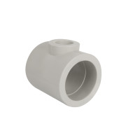 Тройник PPR Thermo Alliance 110х50х110 (DSC124)