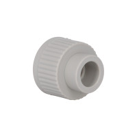 Муфта PPR Thermo Alliance 20х3/4" ВР (DSB202)