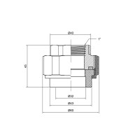 Угон "Американка" PPR Thermo Alliance 32х1" ВР (DSI003)