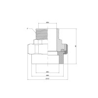 Згін "Американка" PPR Thermo Alliance 63х2" ЗР (DSI206)