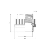 Муфта PPR Thermo Alliance 63х2" ВР (DSB210)