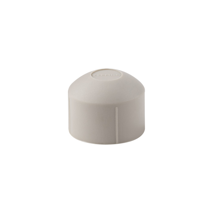 Заглушка PPR Thermo Alliance 25 (DSD002)