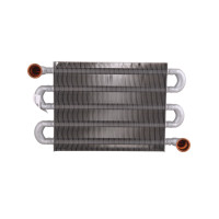 Теплообмінник Sime Brava One/Brava Slim /Format DGT 25 BF основний (6174275)