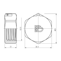 Заглушка SD Forte 3/4" ВР SF35220 (SF35220)