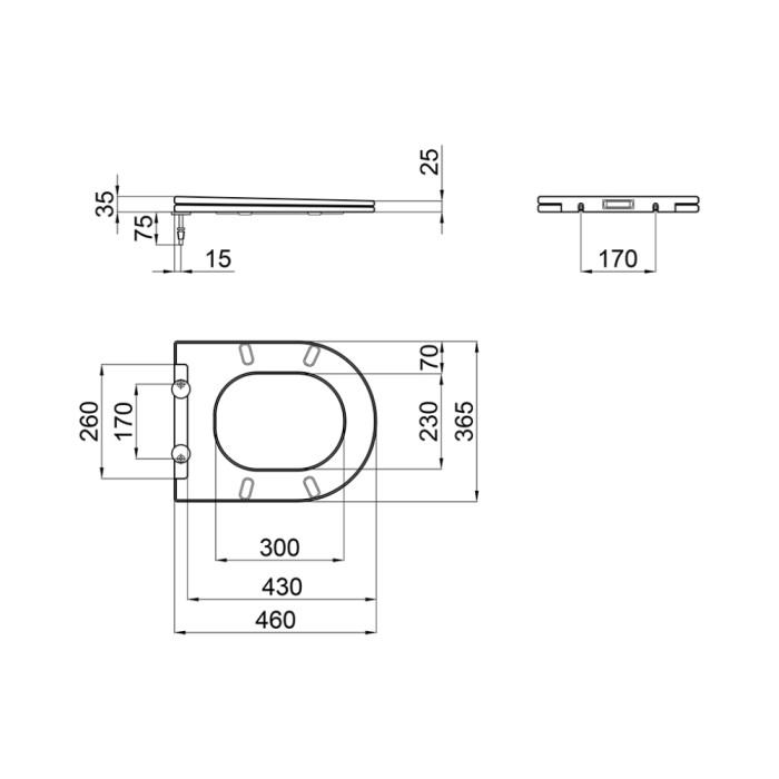 Сидіння для унітаза Qtap (Swan, Jay) з мікроліфтом Slim QT1699SC5176W (QT99SC5176W)