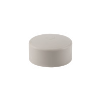 Заглушка PPR Thermo Alliance 50 (DSD005)