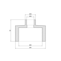 Муфта PPR Thermo Alliance 63х20 (DSB111)