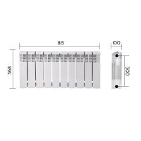Радіатор біметалічний Thermo Alliance Bi-Ferrum 300/100 1,15 кг (F300100B)