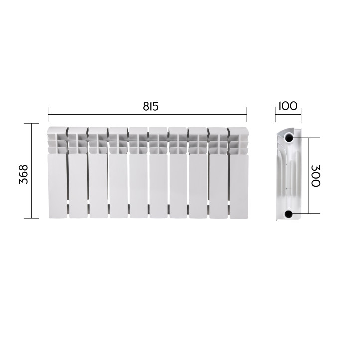 Радіатор біметалічний Thermo Alliance Bi-Ferrum 300/100 1,15 кг (F300100B)