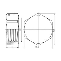 Заглушка SD Forte 3/4" ЗР хром SF353H20 (SF353H20)
