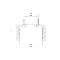 Муфта PPR Thermo Alliance 63х32 (DSB113)