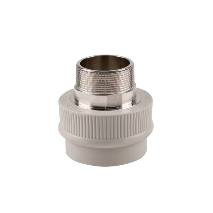 Муфта PPR Thermo Alliance 63х2" ЗР (DSB310)
