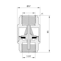 Зворотний клапан Thermo Alliance Forte 1 1/4"ВВ нікель із латунним штоком TAF240W32 (TAF240W32)