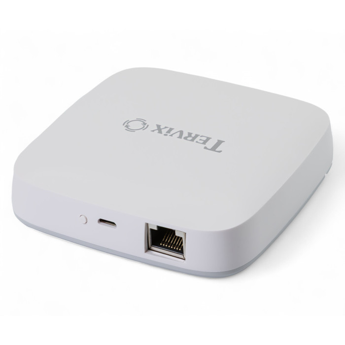Ведущий Ethernet контроллер Tervix ZigBee Wired Gateway (401111)